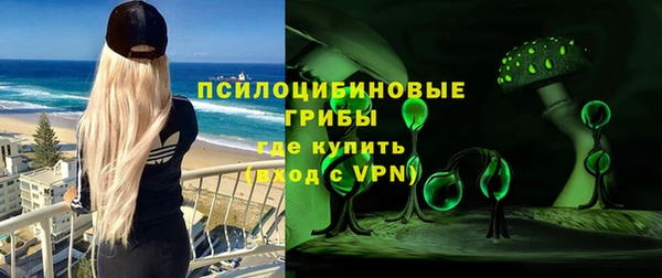 не бодяженный Бородино